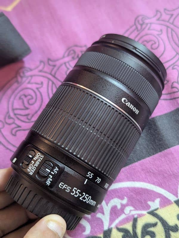 Canon D700 with Zooming Lens 6