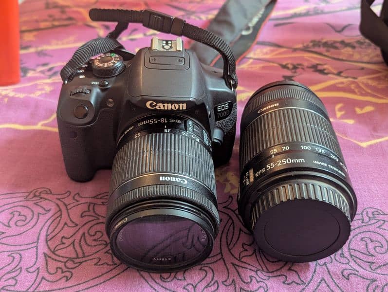 Canon D700 with Zooming Lens 7