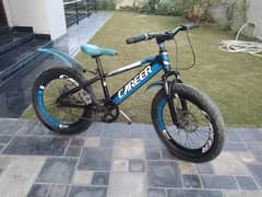 20 inch cycle fat tayar