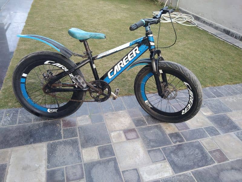 20 inch cycle fat tayar 3