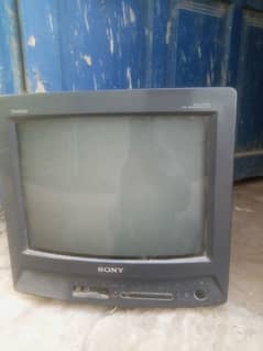 television