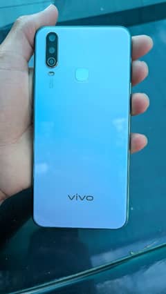 vivo