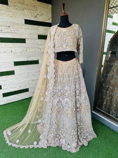 Wedding Dress | Walima Mexi | Dresses are Available (DEMANDING DRESS)