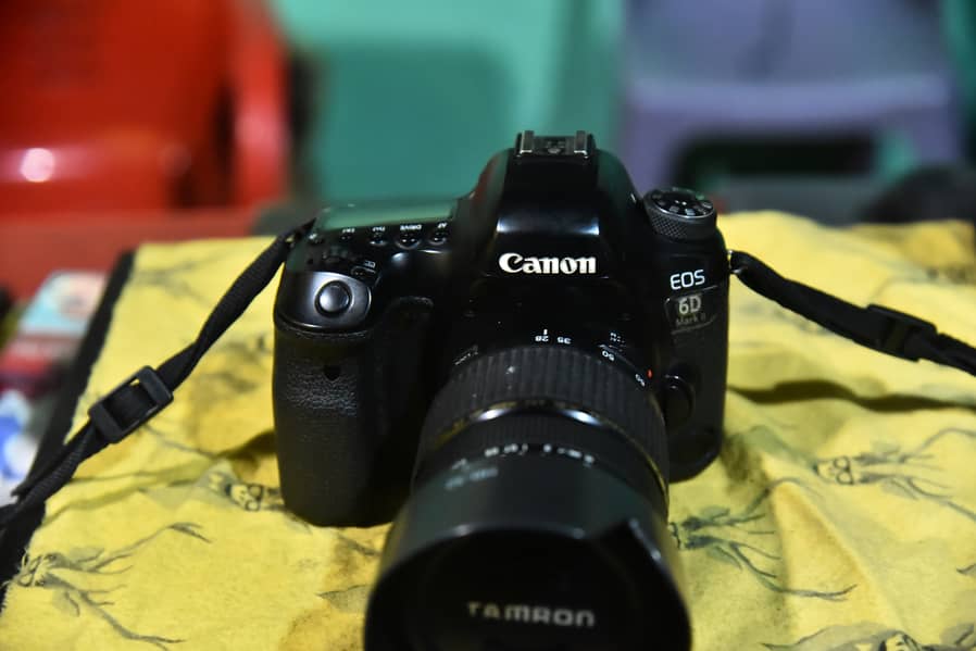 canon 6d mark 2 with. Tamron 28-75mm F/2.8 & canon. 85mm. 1.8 5