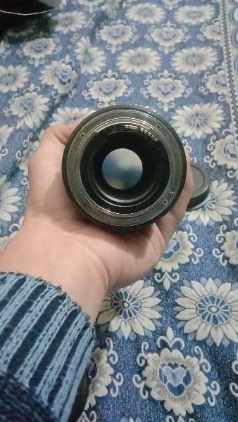 Tamron 70_200mm telephoto lens 3