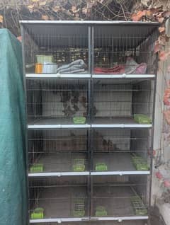 Cage for Birds/Parrots/Chicken