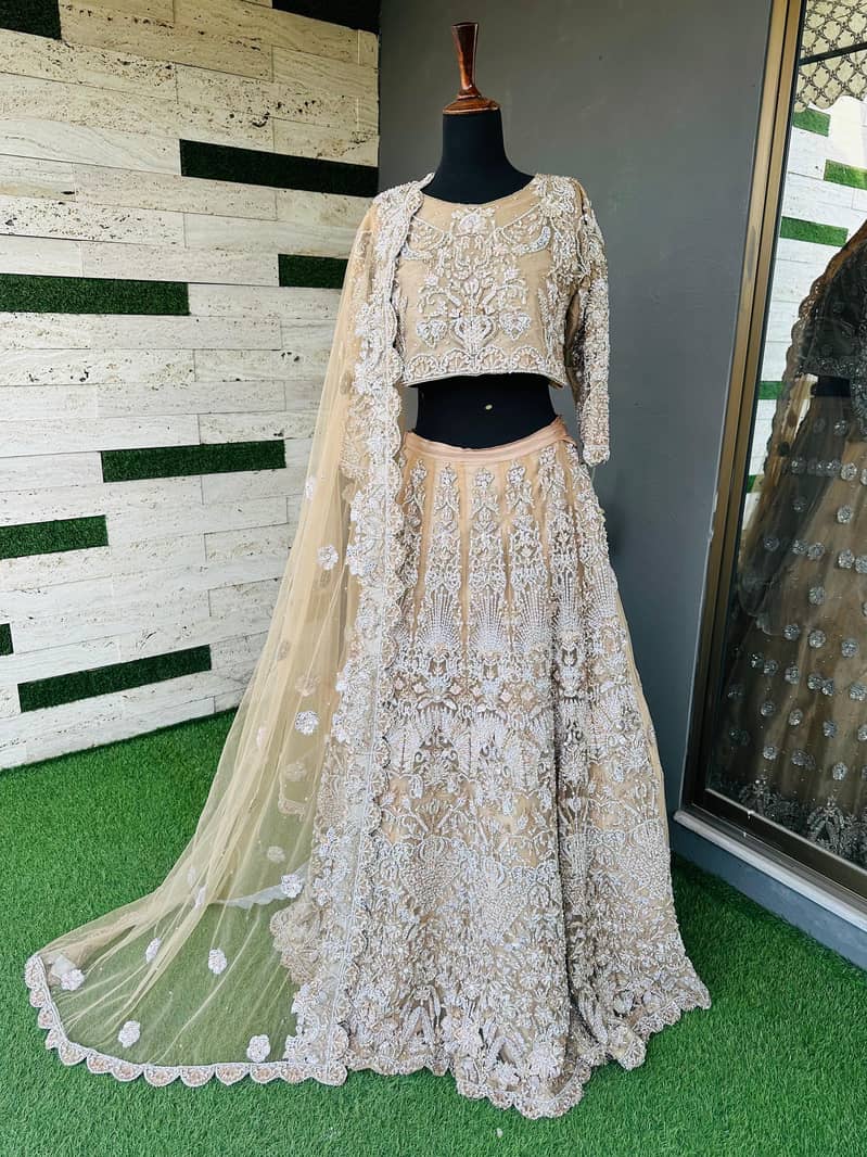 Wedding Dress | Walima Mexi | Dresses are Available (DEMANDING DRESS) 1