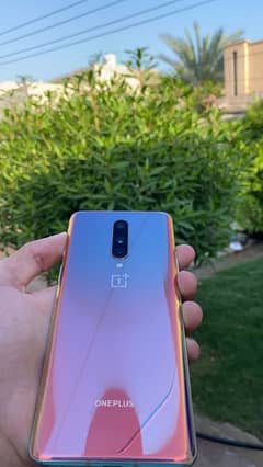 OnePlus 8  dual Sim