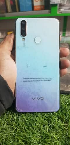 Vivo