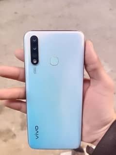 vivo