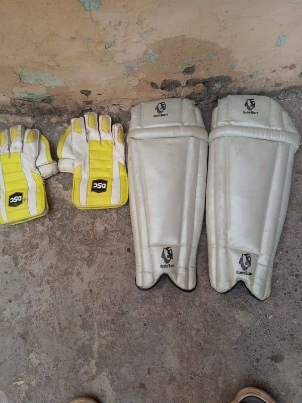 cricket kit 8