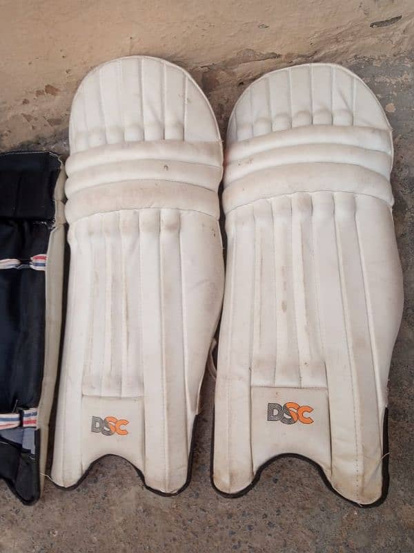 cricket kit 11