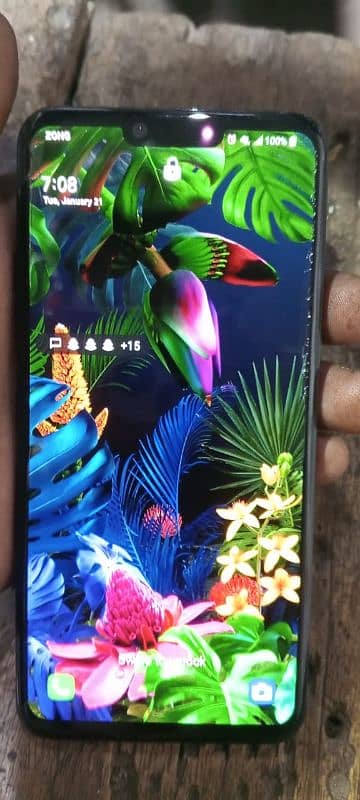 LG g8 pta APPROVED 4