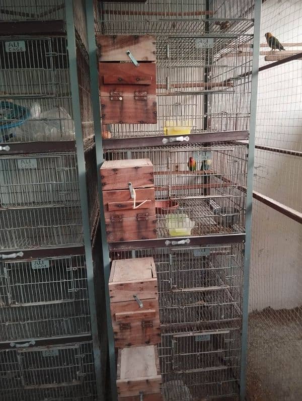 2 Cages 5 portion with angle and wheele for sale 5