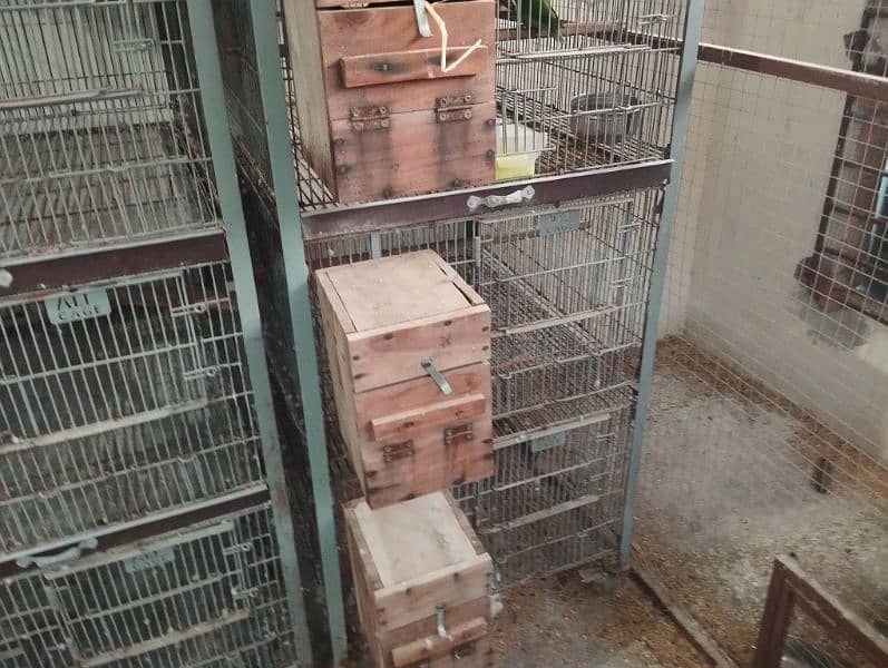 2 Cages 5 portion with angle and wheele for sale 6