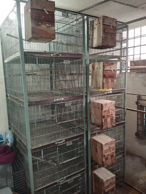 2 Cages 5 portion with angle and wheele for sale 9