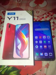 vivo