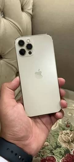 iphone 12 pro pta approved