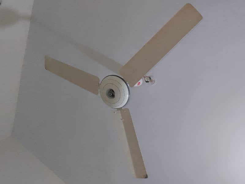 3 Fans Available 1 GFC, 1AR, 1SOMETHING ELSE. PER FAN 6500. 3