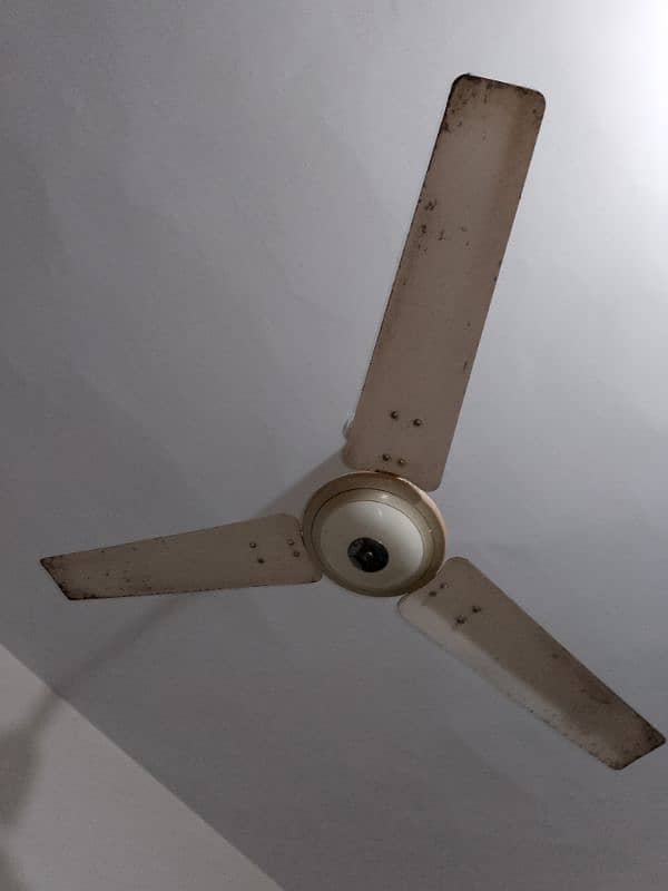 3 Fans Available 1 GFC, 1AR, 1SOMETHING ELSE. PER FAN 6500. 5