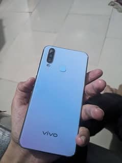 vivo