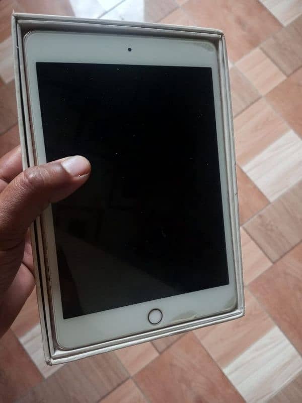 ipad mini5 0