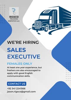 Female Sales Executive for USA based company