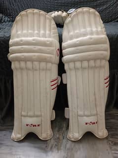 Cricket pads , thighs, gloves