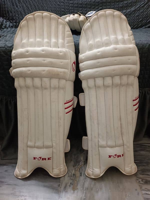 Cricket pads , thighs, gloves 0