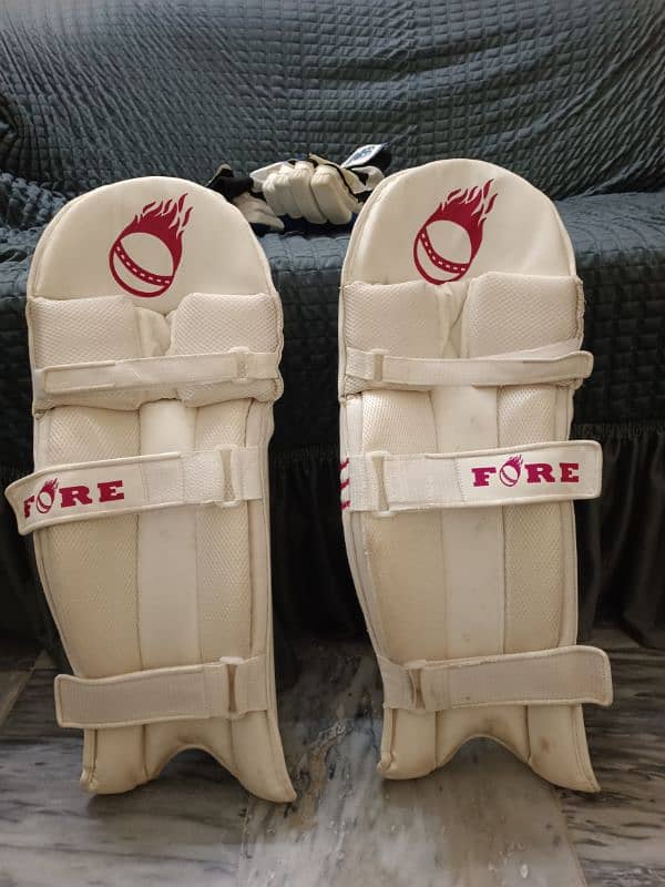 Cricket pads , thighs, gloves 1