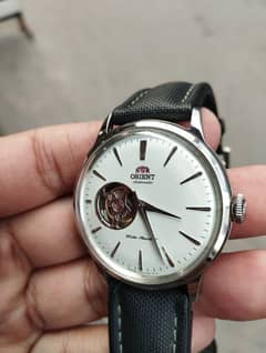 Orient Bambino Openheart /