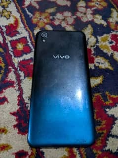 vivov19