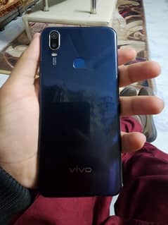 vivo