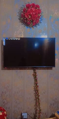 ecostar Led 43inch