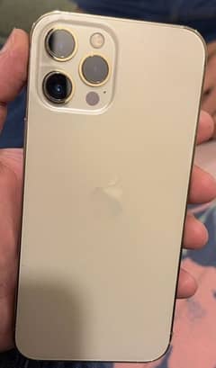 Iphone 12 pro max pta approved