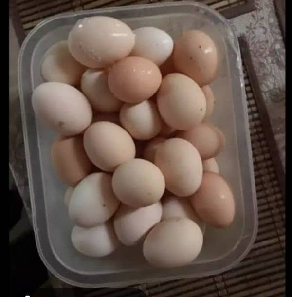 Desi eggs for sale 0