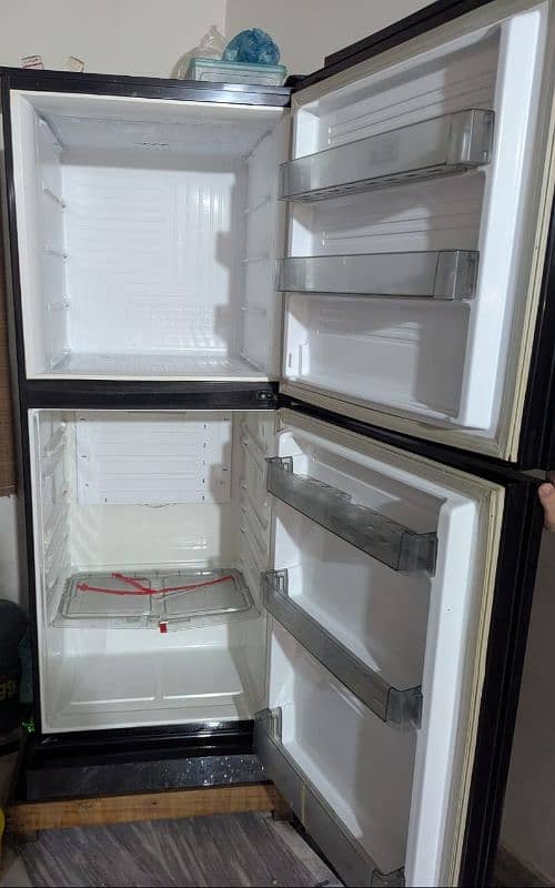 Pel Glass Door Refrigerator 4