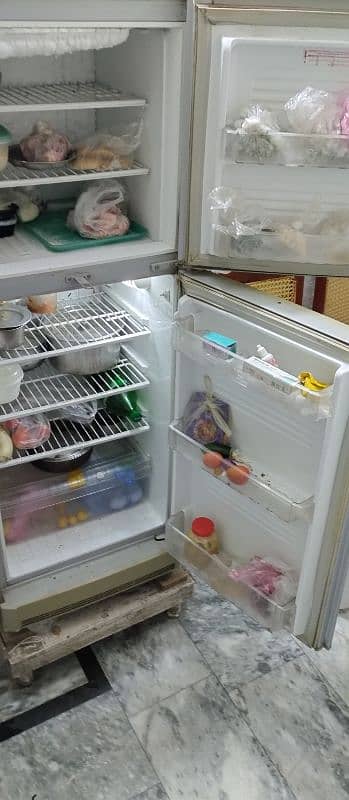 PEL Refrigerator for Sale 4