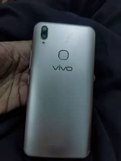 vivo