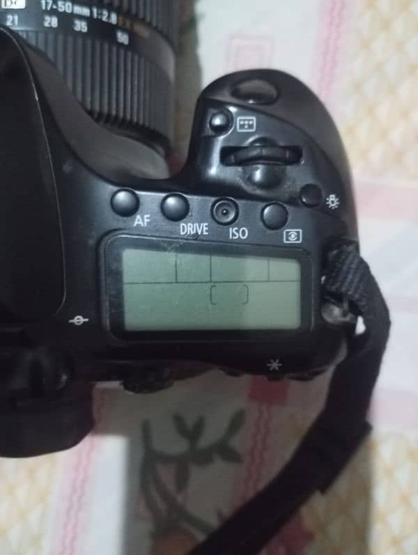 CANON 80 D 10