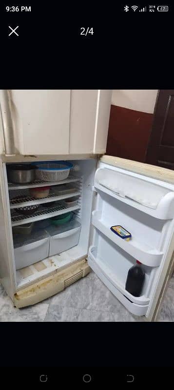 FRIDGE FOR SALE 3