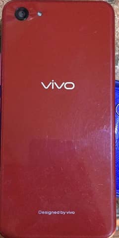 vivo