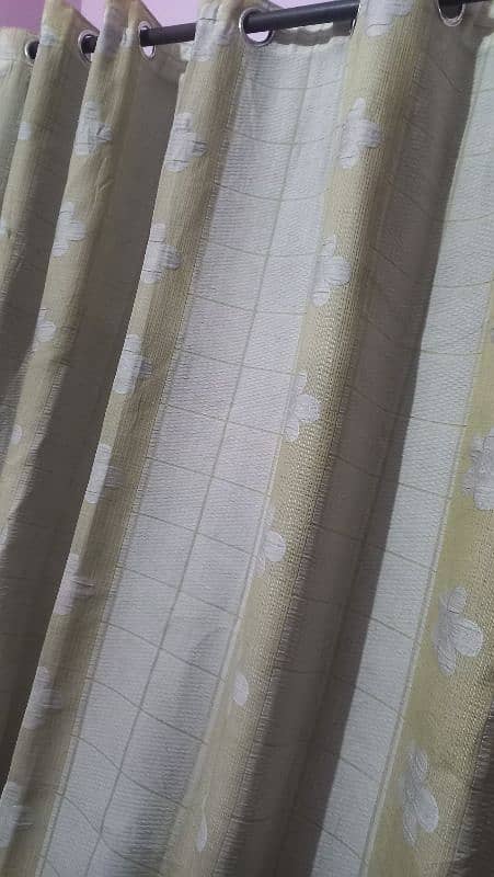 Import quality curtains 2