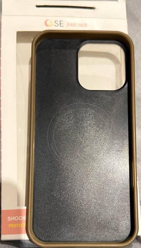 16 Pro Max (Natural Titanium) Back Cover 1