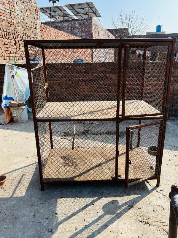 new cage for hens only 1 time for chicks 0