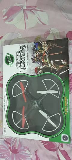 Ninja turtle Q. 11 drone