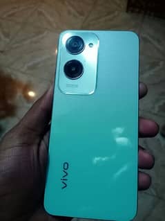 vivo