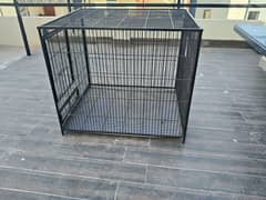 Cage for grey parrot/ suncnore