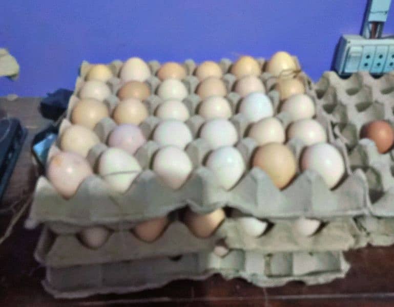 desi anday , desi eggs, دیسی انڈے, misri eggs 1