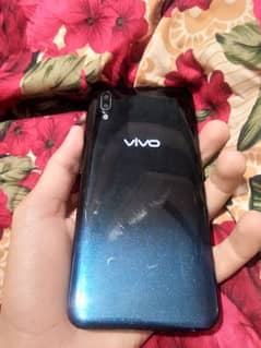 VIVO